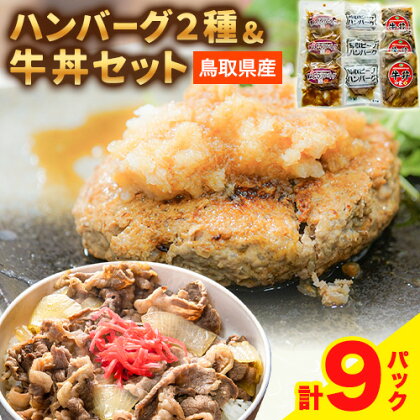 ハンバーグ 牛丼 鳥取県産ハンバーグ２種&牛丼セット 《90日以内に出荷予定(土日祝除く)》 鳥取県畜産農業協同組合 鳥取県 牛肉 牛 セット 送料無料 2198528 - 鳥取県八頭町