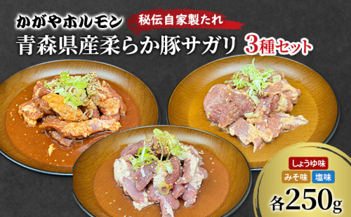 かがやホルモン 秘伝自家製たれ 当店自慢 青森県産 柔らか 豚 サガリ 3種 セット みそ味 しょうゆ味 塩味 肉 豚肉 味付け肉 真空パック 2198530 - 青森県鶴田町