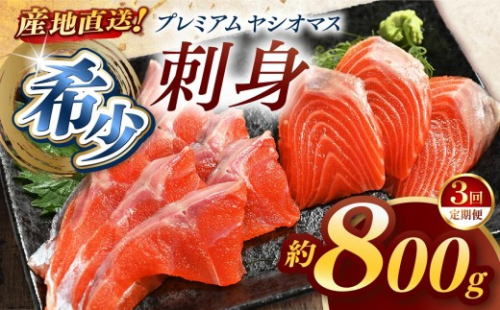 【定期便3回】産地直送栃木県のブランド魚「プレミアムヤシオマス」の刺身 800g (200g×4パック)    [ 冷凍便 ] | 魚 ます 養殖 産地直送 栃木県 (毎月お届け） 2198678 - 栃木県矢板市
