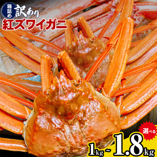 蟹 訳あり 蟹セレブ 紅ズワイガニ 箱詰め 選べる 1kg 1.8kggiverichホールディングス《10月上旬-5月下旬頃出荷》鳥取県 八頭町 蟹 かに カニ 紅ズワイガニ 紅ズワイ 訳あり 送料無料 2198862 - 鳥取県八頭町