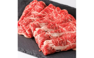 ＜トヨぽん付＞豊西牛肩ローススライス300g【1606991】
