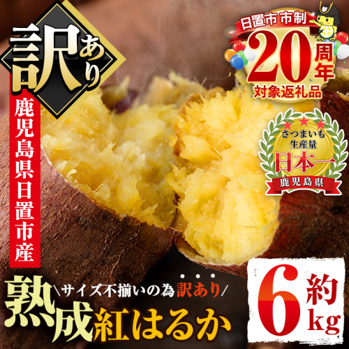 No.560-A ＜訳あり・不揃い＞鹿児島県日置市産さつまいも！熟成紅はるか(約6kg) 国産 九州産 サツマイモ  訳アリ 紅春香 熟成 芋 焼き芋 野菜 スイーツ 常温保存【末永商店】 2199040 - 鹿児島県日置市