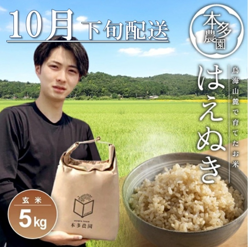 SA2677　10月下旬配送／令和7年産【玄米】はえぬき　5kg 農家直送 HO 2200136 - 山形県酒田市