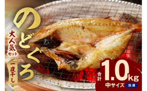 シーライフ のどぐろ一夜干し7～8枚で計1.0kg 「大人気セット」 アカムツ 干物 一夜干し 手頃 小分け 個包装 贈答 ギフト プレゼント 贈り物 【005_2065】 2200173 - 島根県浜田市
