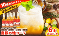 【年間1万本販売!】原料にこだわったクラフトコーラ 250ml×6本セット 手作り ジュース ソフトドリンク スパイス 無添加 健康 島根県雲南市/出雲SPICE LAB. [AIAD001]