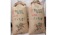 C-8　特別栽培米コシヒカリ　精米または玄米のままで３０㎏ 玄米のまま30ｋｇ×１袋
