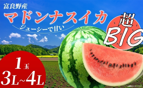 【2025年8月より順次発送】ふらの山部の超大玉絶品スイカ『マドンナスイカ』 3L～4L 1玉（坂口農産）マドンナ 富良野 北海道産 甘い 糖度 フルーツ 果物 お取り寄せ 夏ギフト おすすめ 人気ランキング 2200751 - 北海道富良野市