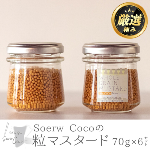 【0154213a】Soerw Cocoの粒マスタード(70g×6セット) 調味料 からし 料理 【Food＆SpiceSoerwCoco】 2200860 - 鹿児島県東串良町