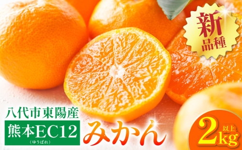 【先行予約】 八代市 東陽産 EC12みかん 2kg以上入り(8玉～20玉)  柑橘 ミカン くだもの 果物 フルーツ デザート 【2025年11月下旬より順次発送】 2201123 - 熊本県八代市