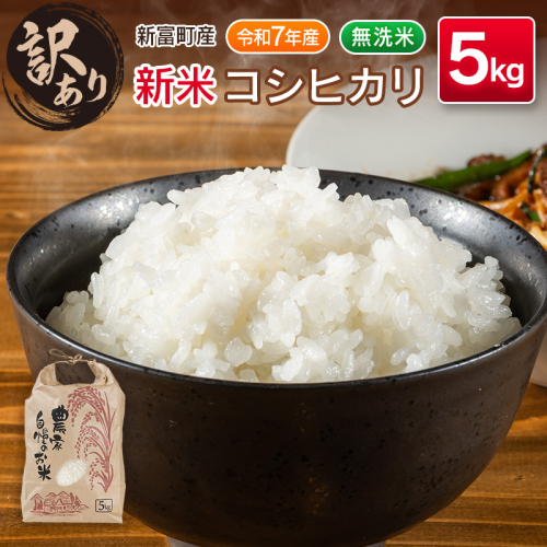 ＜訳あり＞令和７年産　新米コシヒカリ5kg 宮崎県新富町産【B679】 2201356 - 宮崎県新富町