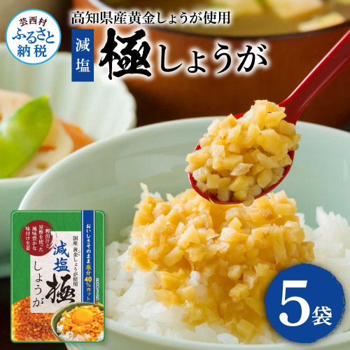減塩味付け極しょうが110g×5袋 - 減塩 しょうが ショウガ 生姜 生ふりかけ 坂田信夫商店 黄金しょうが 高知 国産 料理 おかず 調味料 ご飯のお供 混ぜご飯 刻み生姜 健康 話題 2201452 - 高知県芸西村