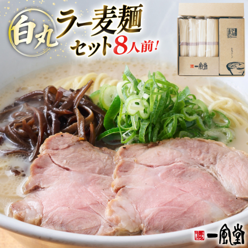 ラーメン 一風堂 白丸ラー麦麺 8食 セット [フーデリジェンス 福岡県 宇美町 um40azo980005] 博多 ラーメンセット らーめん 細麺 とんこつ とんこつラーメン 2201456 - 福岡県宇美町