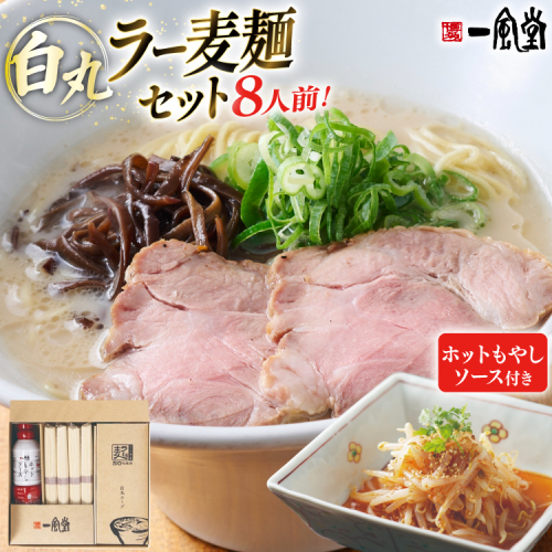 ラーメン 一風堂 白丸ラー麦麺 ホットもやしソース 8食 セット [フーデリジェンス 福岡県 宇美町 um40azo980004] 博多 ラーメンセット らーめん 細麺 とんこつ とんこつラーメン 2201457 - 福岡県宇美町