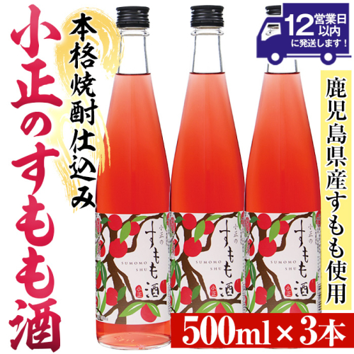 No.931-C 小正のすもも酒(500ml×3本)酒 焼酎 果実酒 セット すもも アルコール リキュール 瓶【小正醸造】 2201508 - 鹿児島県日置市