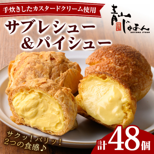 No.1049-D 薩摩77万石溶岩サブレシュー&パイシュー(48個入) 【青山じゅあん】 2201652 - 鹿児島県日置市