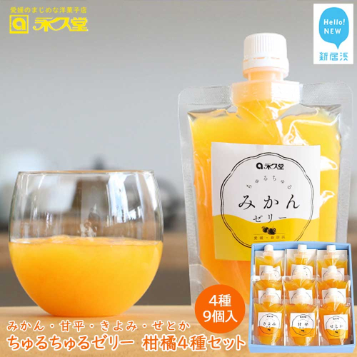 フルーツゼリー ちゅるちゅるゼリー 柑橘 4種 合計9個 セット みかん 甘平 きよみ せとか 柑橘王国愛媛 永久堂 2201695 - 愛媛県新居浜市