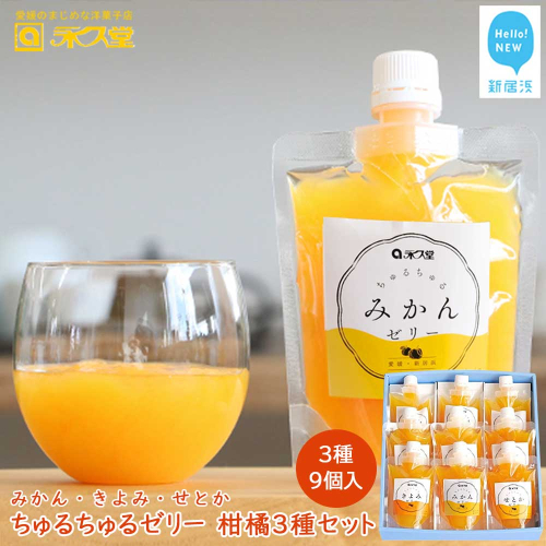フルーツゼリー ちゅるちゅるゼリー 柑橘 3種 合計9個 セット みかん きよみ せとか 柑橘王国愛媛 永久堂 2201697 - 愛媛県新居浜市