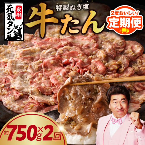 【定期便】ねぎ塩 牛たん 750g × 2回【小分け 250g×3P 牛タン 牛肉 焼肉用 薄切り 訳あり サイズ不揃い 2025年11月＆2026年5月発送】 G2995 2201973 - 大阪府泉佐野市