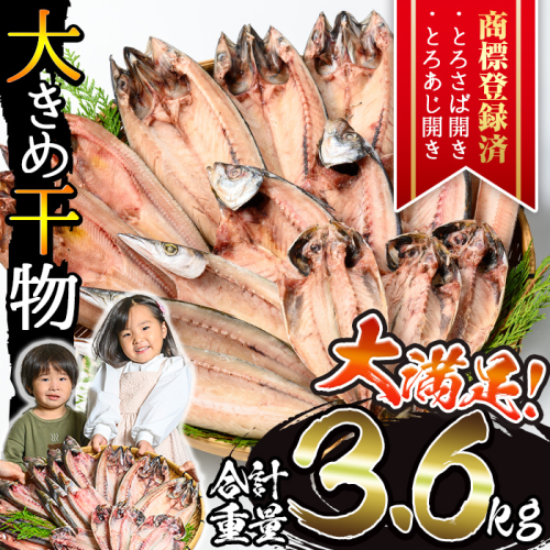 No.406-B 大きめ干物詰合せ＜合計3.6kg＞ 干物 セット 詰め合わせ ひもの 魚介類 魚 おかず おつまみ お楽しみ 【みのだ食品】 2202261 - 鹿児島県日置市