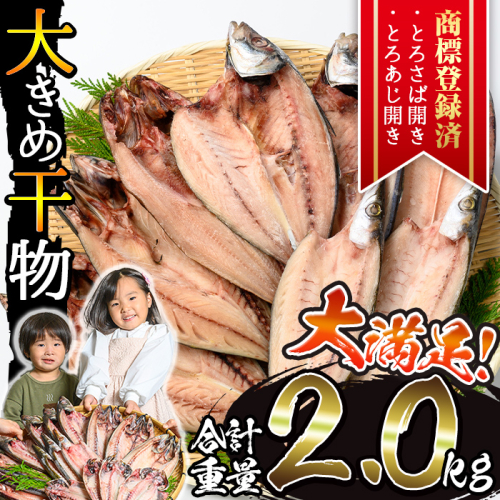 No.406-B 大きめ干物詰合せ＜合計3.6kg＞ 干物 セット 詰め合わせ ひもの 魚介類 魚 おかず おつまみ お楽しみ 【みのだ食品】 2202261 - 鹿児島県日置市