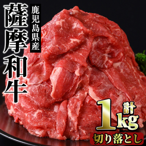 No.1142-B 薩摩和牛切り落とし(計1kg・500g×2P) 【さつま屋産業】 2202263 - 鹿児島県日置市