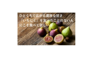 THE FIG ～皮ごと食べれるいちじく～　300g×4パックセット【1644926】