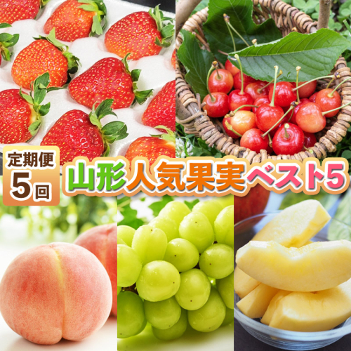 【定期便5回】山形人気果実ベスト５ FY25-284 2202412 - 山形県山形市