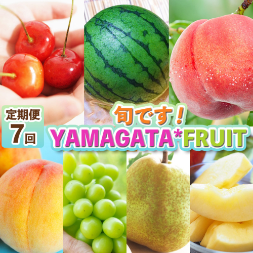 【定期便7回】旬です！YAMAGATA＊FRUIT FY25-285 2202413 - 山形県山形市