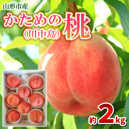 かための桃 秀 約2kg (6～9玉) [川中島] FY25-295 2202596 - 山形県山形市