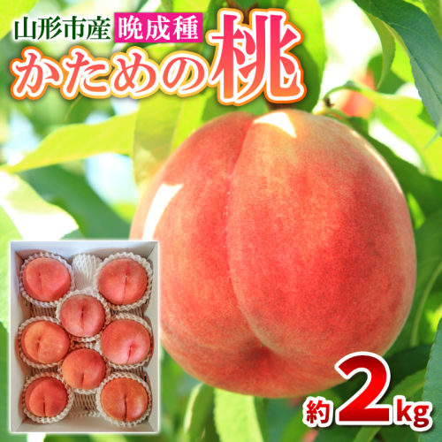 かための桃 秀 晩成種 約2kg (4～9玉)[伊達白桃 さくら白桃] FY25-296 2202598 - 山形県山形市