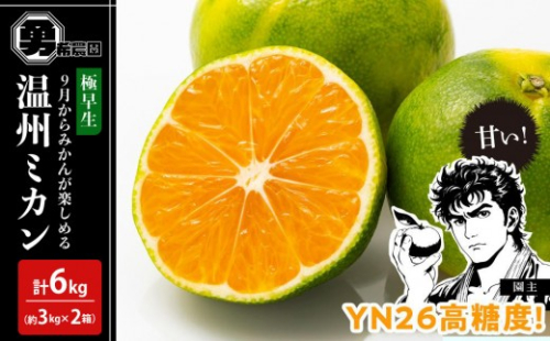 先行予約極早生温州ミカン YN26 約6kg（約3kg×2箱）サイズ混合 和歌山県 有田みかん 2025年9月下旬頃発送 2202600 - 和歌山県有田川町
