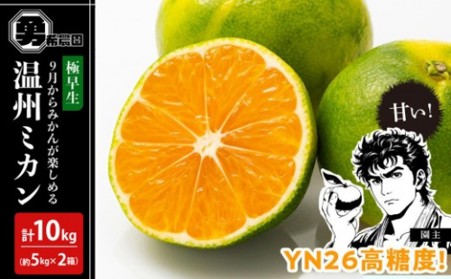 先行予約極早生温州ミカン YN26 約10kg （約5kg×2箱）サイズ混合 和歌山県 有田みかん 2025年9月下旬頃発送 2202601 - 和歌山県有田川町