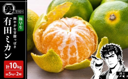 先行予約極早生みかん 約10kg（約5kg×2箱）サイズ混合 和歌山県 有田みかん 2025年10月中旬頃発送 2202603 - 和歌山県有田川町