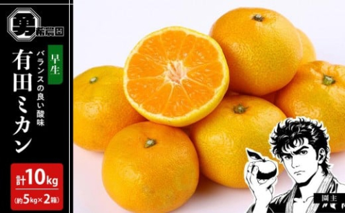 先行予約早生みかん 約10kg （約5kg×2箱）サイズ混合 和歌山県 有田みかん 2025年11月中旬頃発送 2202606 - 和歌山県有田川町