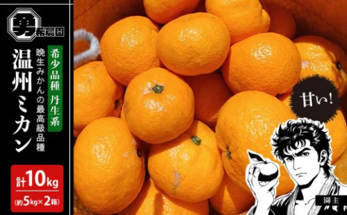 先行予約希少品種 丹生系 温州みかん 約10kg （約5kg×2箱） 秀・優混合 サイズ混合 2026年2月中旬頃発送 2202607 - 和歌山県有田川町