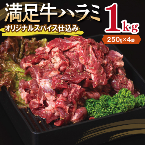 【満足牛ハラミ】オリジナルスパイス仕込み 合計1kg 【味付け ハラミ 小分け 焼くだけ 簡単調理 BBQ 牛肉 250g×4P】 010B1723 2202802 - 大阪府泉佐野市