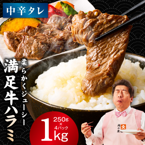 【満足牛ハラミ】中辛タレ漬け 合計1kg 【味付け ハラミ 小分け 焼くだけ 簡単調理 BBQ 牛肉 250g×4P】 G3357 2202803 - 大阪府泉佐野市