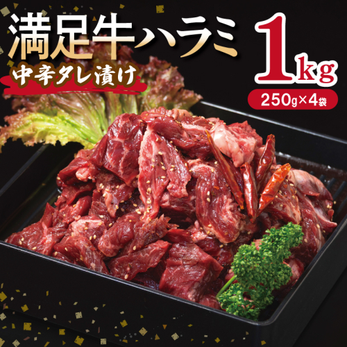 【満足牛ハラミ】中辛タレ漬け 合計1kg 【味付け ハラミ 小分け 焼くだけ 簡単調理 BBQ 牛肉 250g×4P】 010B1724 2202803 - 大阪府泉佐野市