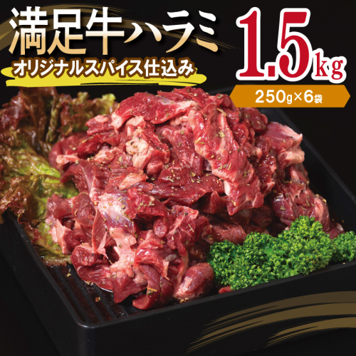 【満足牛ハラミ】オリジナルスパイス仕込み 合計1.5kg 【味付け ハラミ 小分け 焼くだけ 簡単調理 BBQ 牛肉 250g×6P】 015B502 2202805 - 大阪府泉佐野市