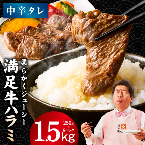 【満足牛ハラミ】中辛タレ漬け 合計1.5kg 【味付け ハラミ 小分け 焼くだけ 簡単調理 BBQ 牛肉 250g×6P】 G3367 2202806 - 大阪府泉佐野市