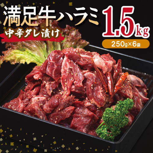 【満足牛ハラミ】中辛タレ漬け 合計1.5kg 【味付け ハラミ 小分け 焼くだけ 簡単調理 BBQ 牛肉 250g×6P】 015B503 2202806 - 大阪府泉佐野市