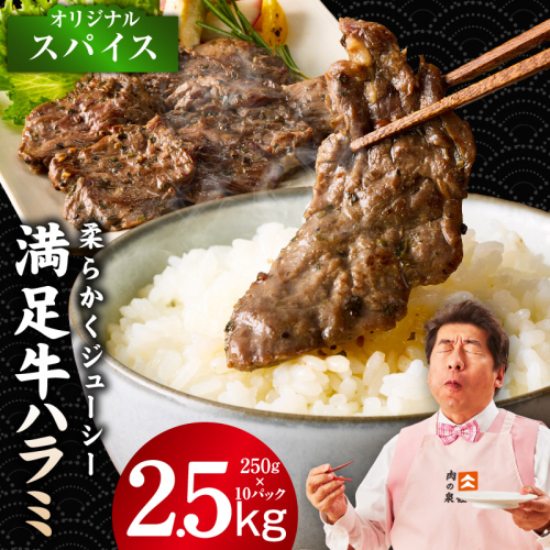 【満足牛ハラミ】オリジナルスパイス仕込み 合計2.5kg 【味付け ハラミ 小分け 焼くだけ 簡単調理 BBQ 牛肉 250g×10P】 G3407 2202808 - 大阪府泉佐野市