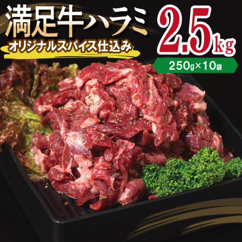 【満足牛ハラミ】オリジナルスパイス仕込み 合計2.5kg 【味付け ハラミ 小分け 焼くだけ 簡単調理 BBQ 牛肉 250g×10P】 099H3706 2202808 - 大阪府泉佐野市