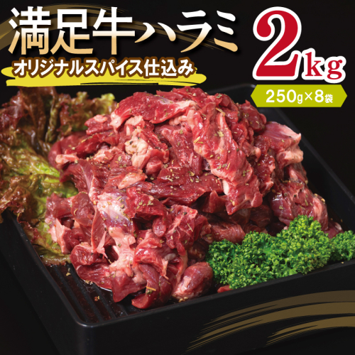 【満足牛ハラミ】オリジナルスパイス仕込み 合計2kg 【味付け ハラミ 小分け 焼くだけ 簡単調理 BBQ 牛肉 250g×8P】 099H3707 2202809 - 大阪府泉佐野市