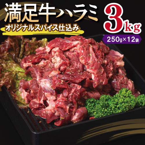 【満足牛ハラミ】オリジナルスパイス仕込み 合計3kg 【味付け ハラミ 小分け 焼くだけ 簡単調理 BBQ 牛肉 250g×12P】 099H3708 2202810 - 大阪府泉佐野市