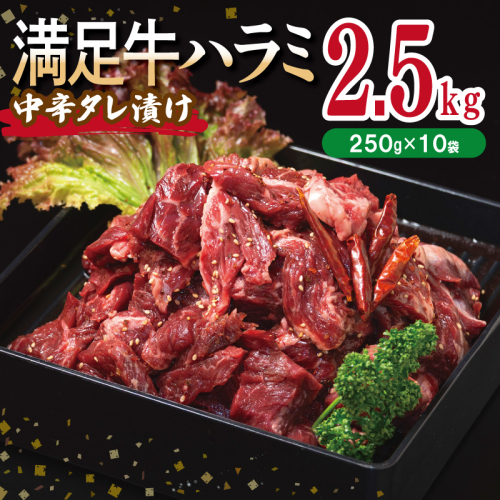 【満足牛ハラミ】中辛タレ漬け 合計2.5kg 【味付け ハラミ 小分け 焼くだけ 簡単調理 BBQ 牛肉 250g×10P】 099H3709 2202811 - 大阪府泉佐野市