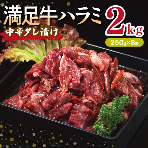 【満足牛ハラミ】中辛タレ漬け 合計2kg 【味付け ハラミ 小分け 焼くだけ 簡単調理 BBQ 牛肉 250g×8P】 099H3710 2202812 - 大阪府泉佐野市