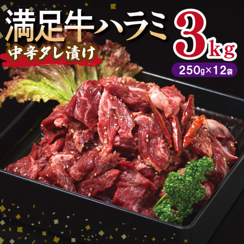 【満足牛ハラミ】中辛タレ漬け 合計3kg 【味付け ハラミ 小分け 焼くだけ 簡単調理 BBQ 牛肉 250g×12P】 099H3711 2202813 - 大阪府泉佐野市