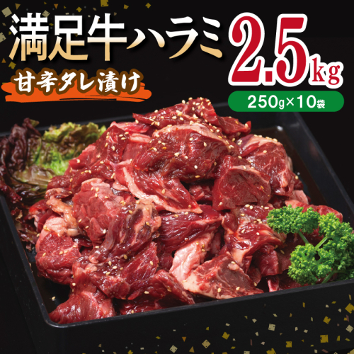 【満足牛ハラミ】甘辛タレ漬け 合計2.5kg 【味付け ハラミ 小分け 焼くだけ 簡単調理 BBQ 牛肉 250g×10P】 099H3712 2202814 - 大阪府泉佐野市