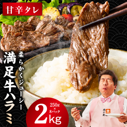 【満足牛ハラミ】甘辛タレ漬け 合計2kg 【味付け ハラミ 小分け 焼くだけ 簡単調理 BBQ 牛肉 250g×8P】 G3414 2202815 - 大阪府泉佐野市
